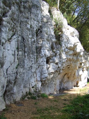 Falaise d'Anqueville