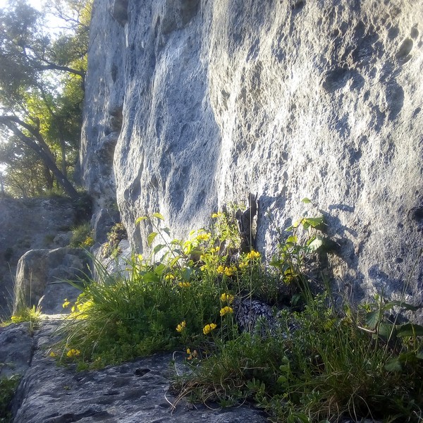 Les Eaux Claires